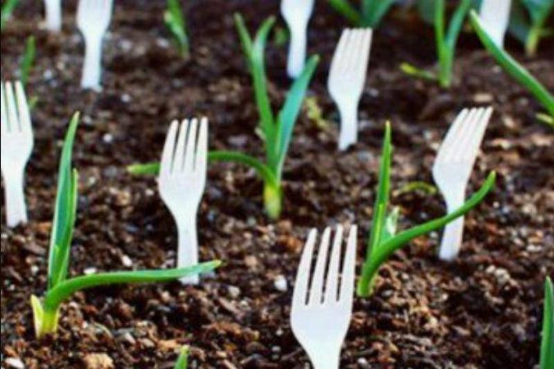 plastic forks in garden