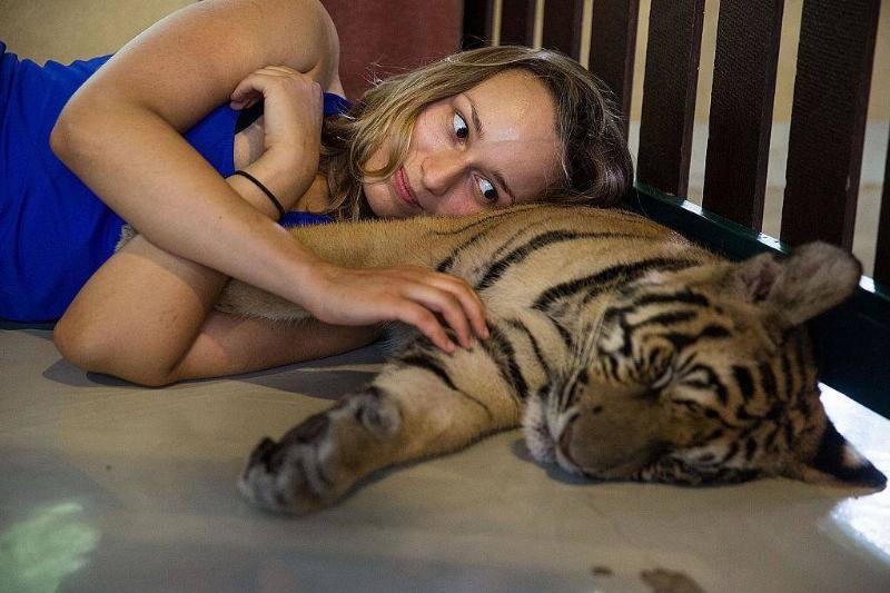 GettyImages-482240084-63354