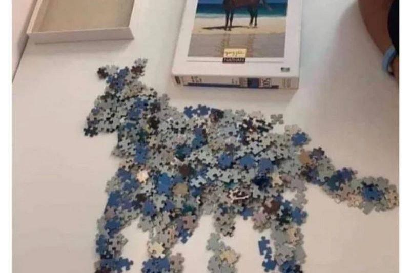 puzzle pieces arranged into shape of horse