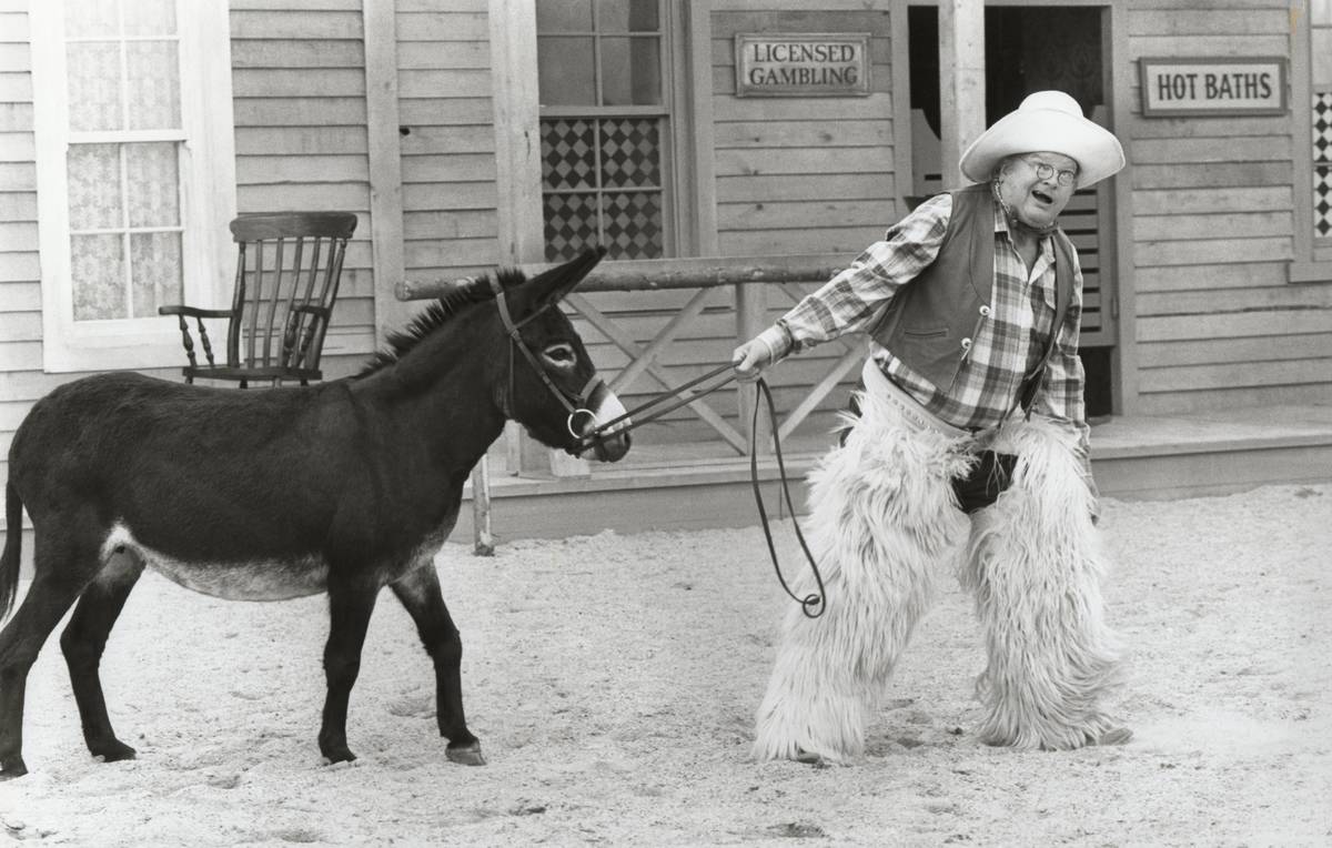 donkey