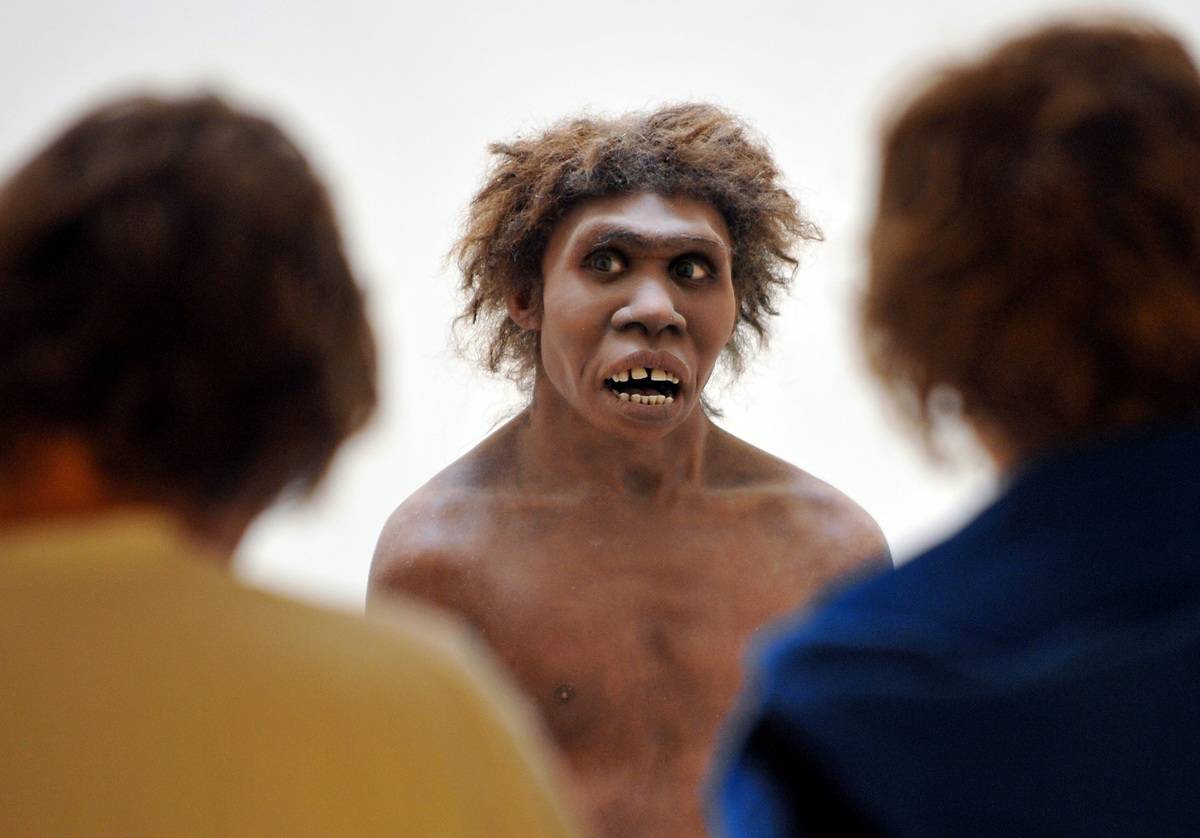 Museum visitors look at a model that represents a Neanderthal man.