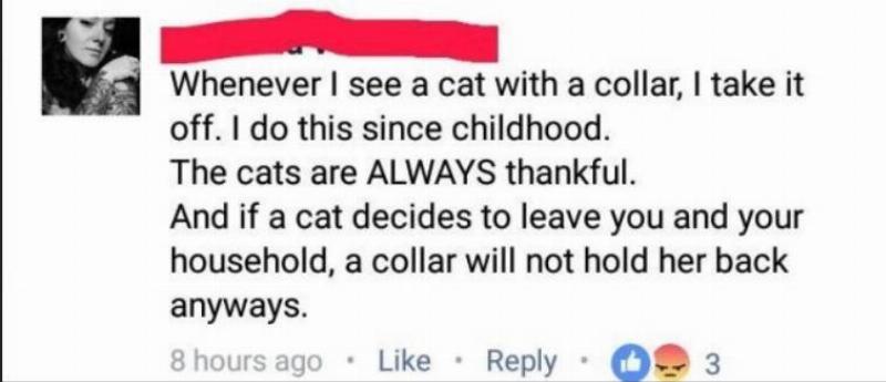In this Facebook comment, a woman claims that she takes off cats's collars, and the cats are 