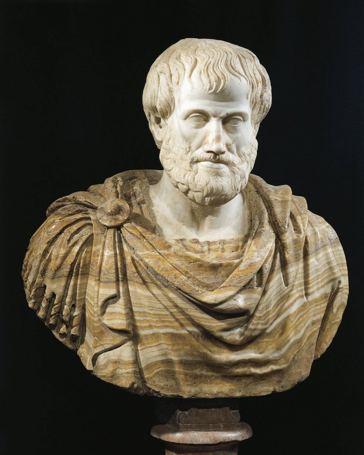 A Roman bust depicts a marble head of a philosopher.