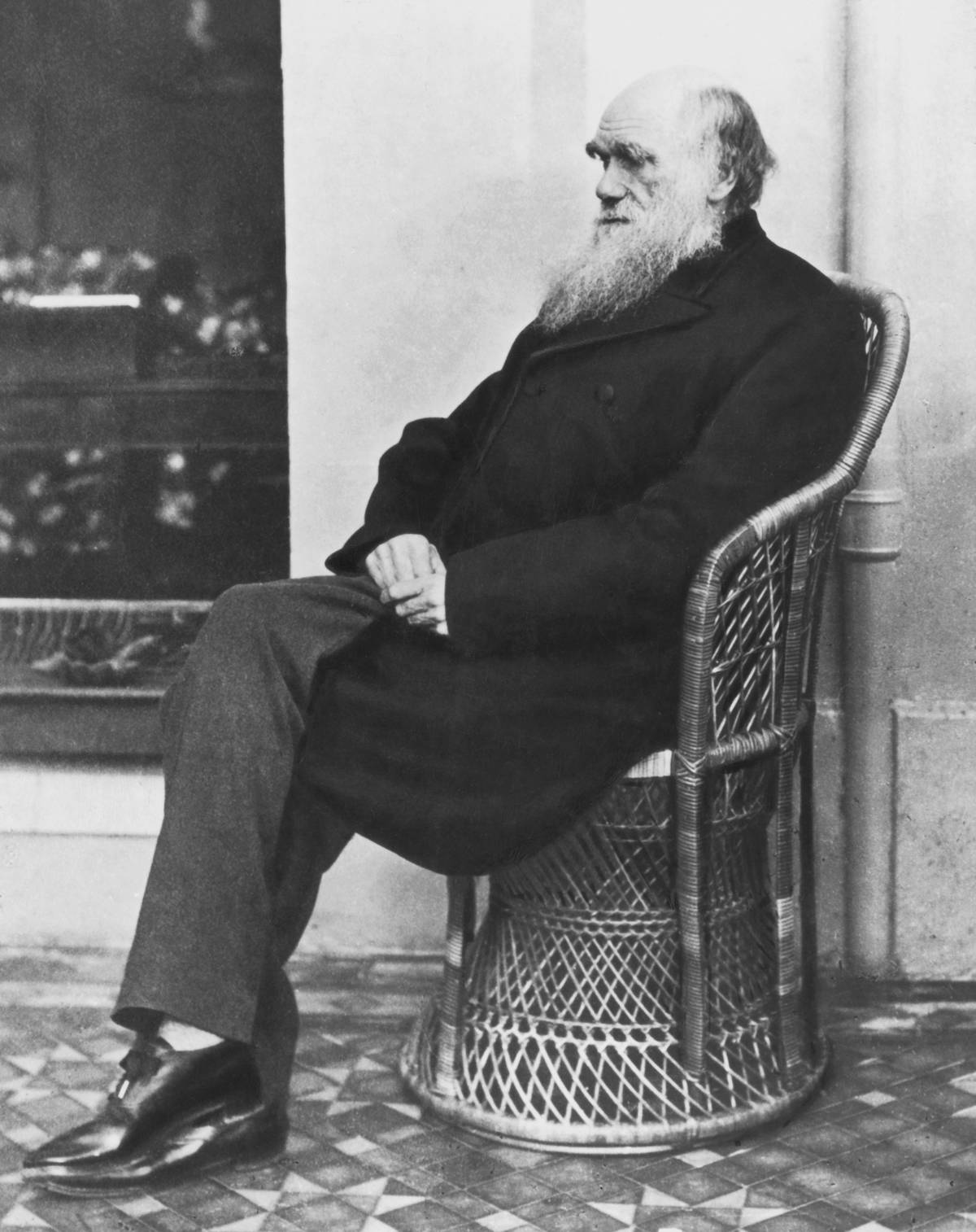 This 1875 photograph shows an English scientist sitting in a chair.