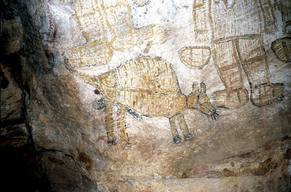Aboriginal paintings of a now-extinct tiger line a cave.