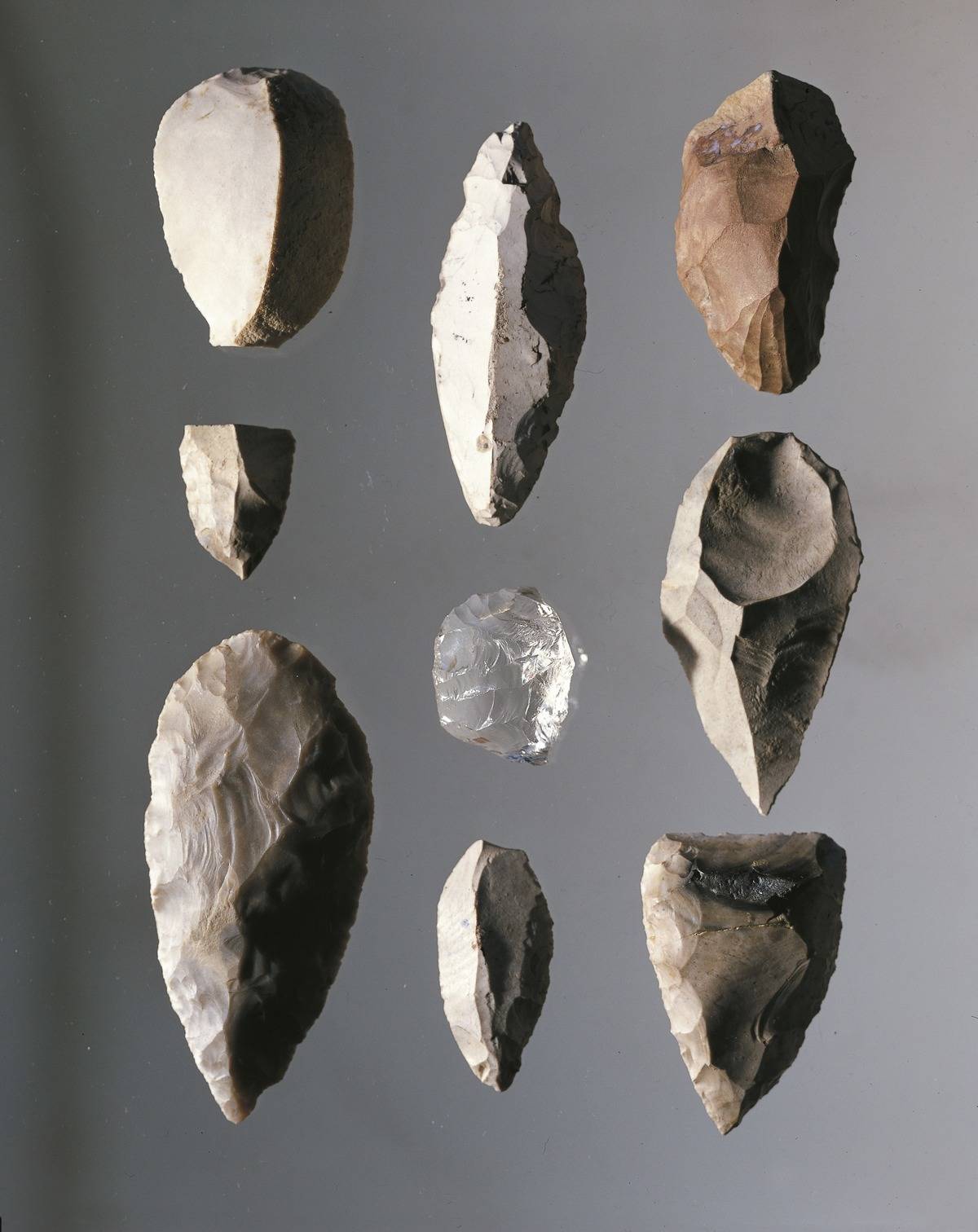 Paleolithic stone spear heads are laid out.