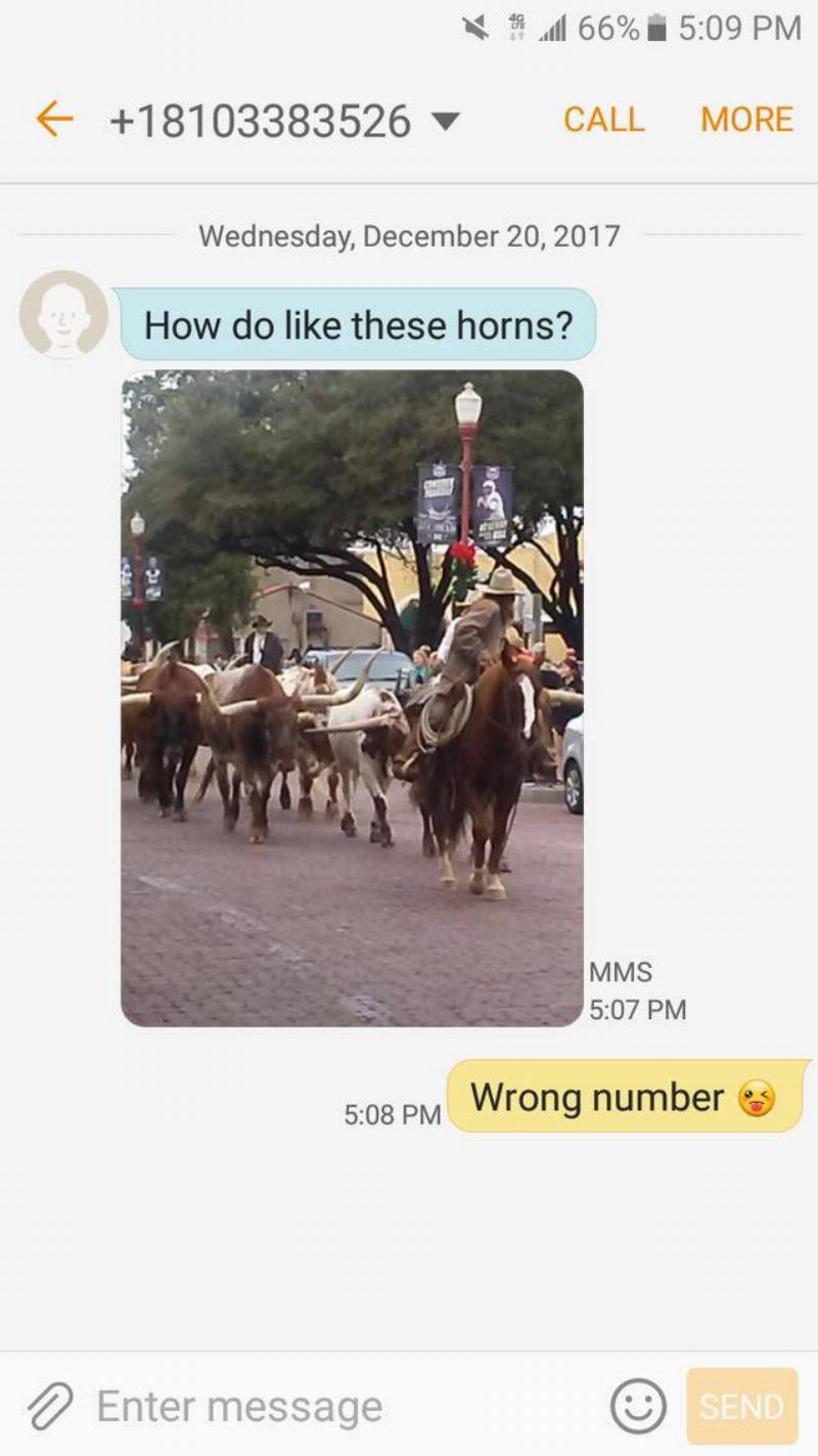 Bulls picture sent to wrong number