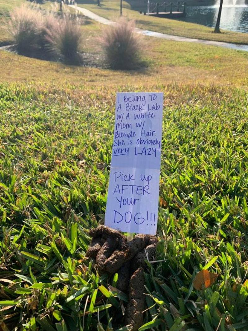 Sign asking people to pick up after their dogs. 