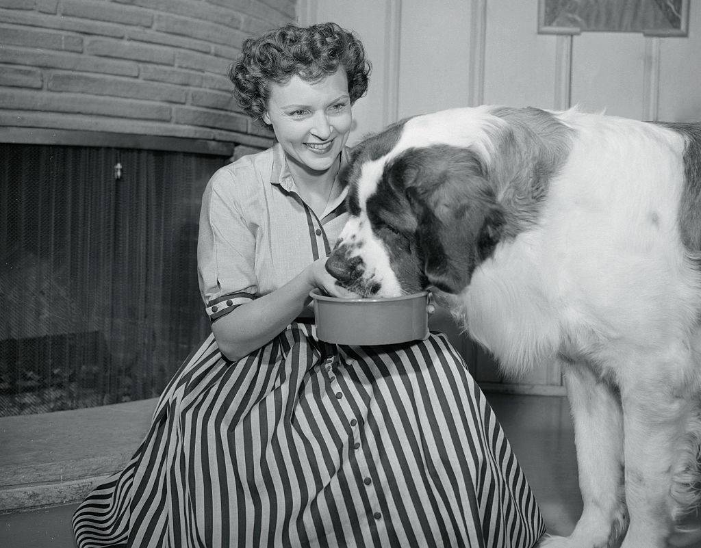 Betty White feeding a st. bernard