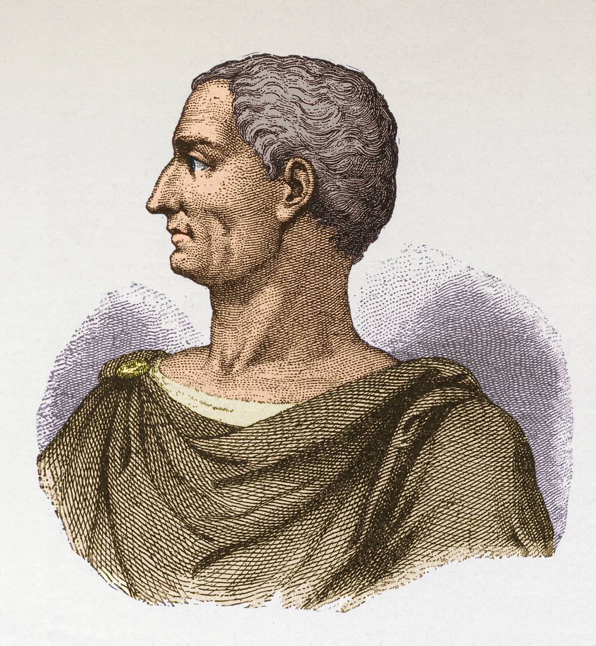 Portrait Of Julius Caesar