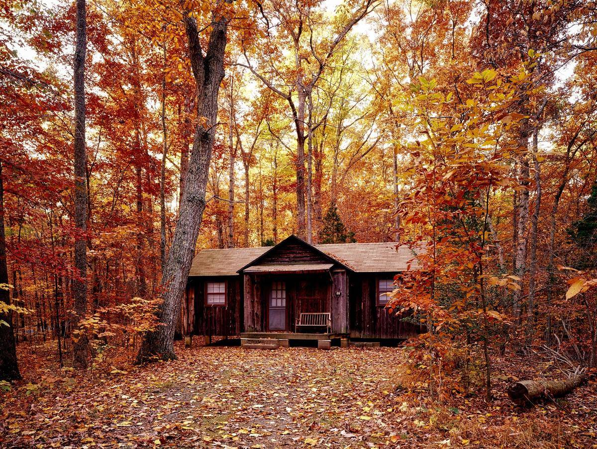 Cabin in autumn woods 