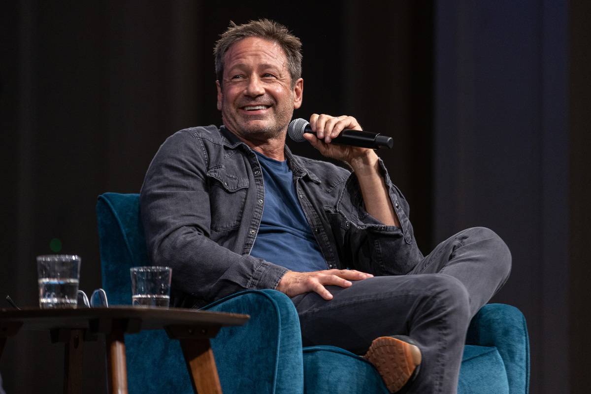 Actor and author David Duchovny speaks onstage about his novel 