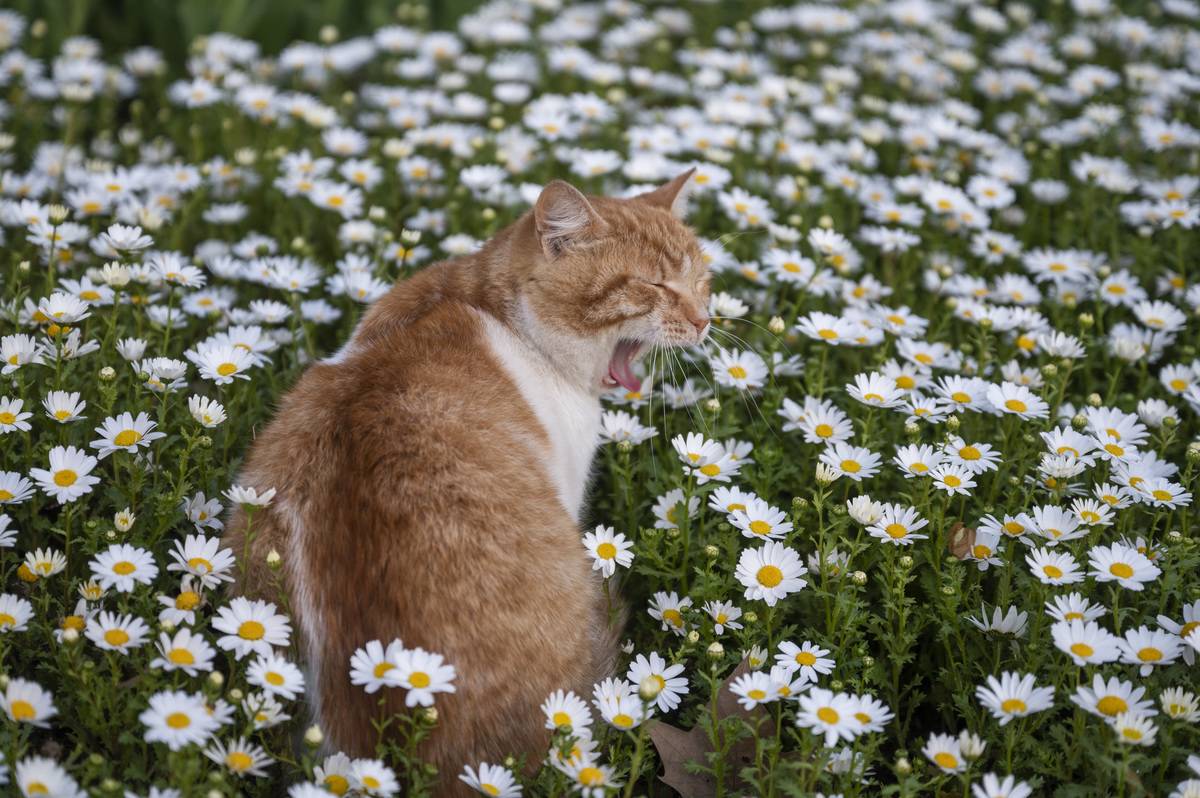 Evening atmosphere in Istanbul