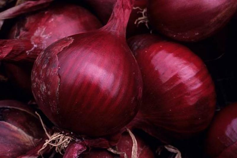 11 Renov Comidas Sanas 28