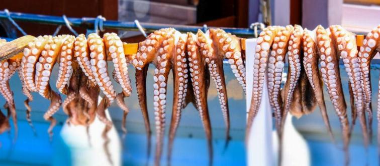 Octopus tentacles in fishing market