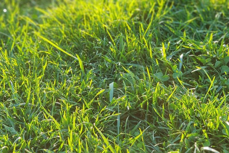 kirby-kizuki-HyHlUK2kU54-unsplash