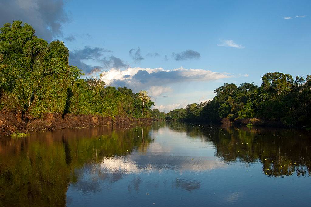 Reflections of the rain forest on a small river