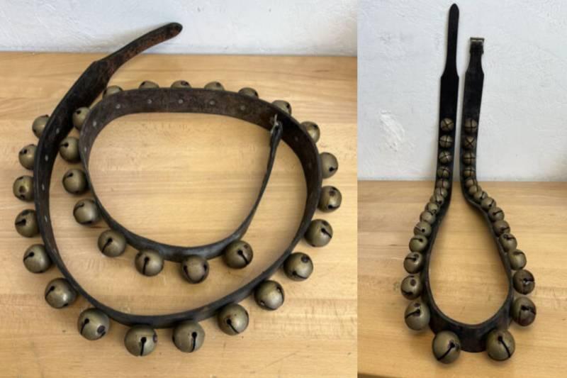 Collage Maker-15-Nov-2022-10.47-AM