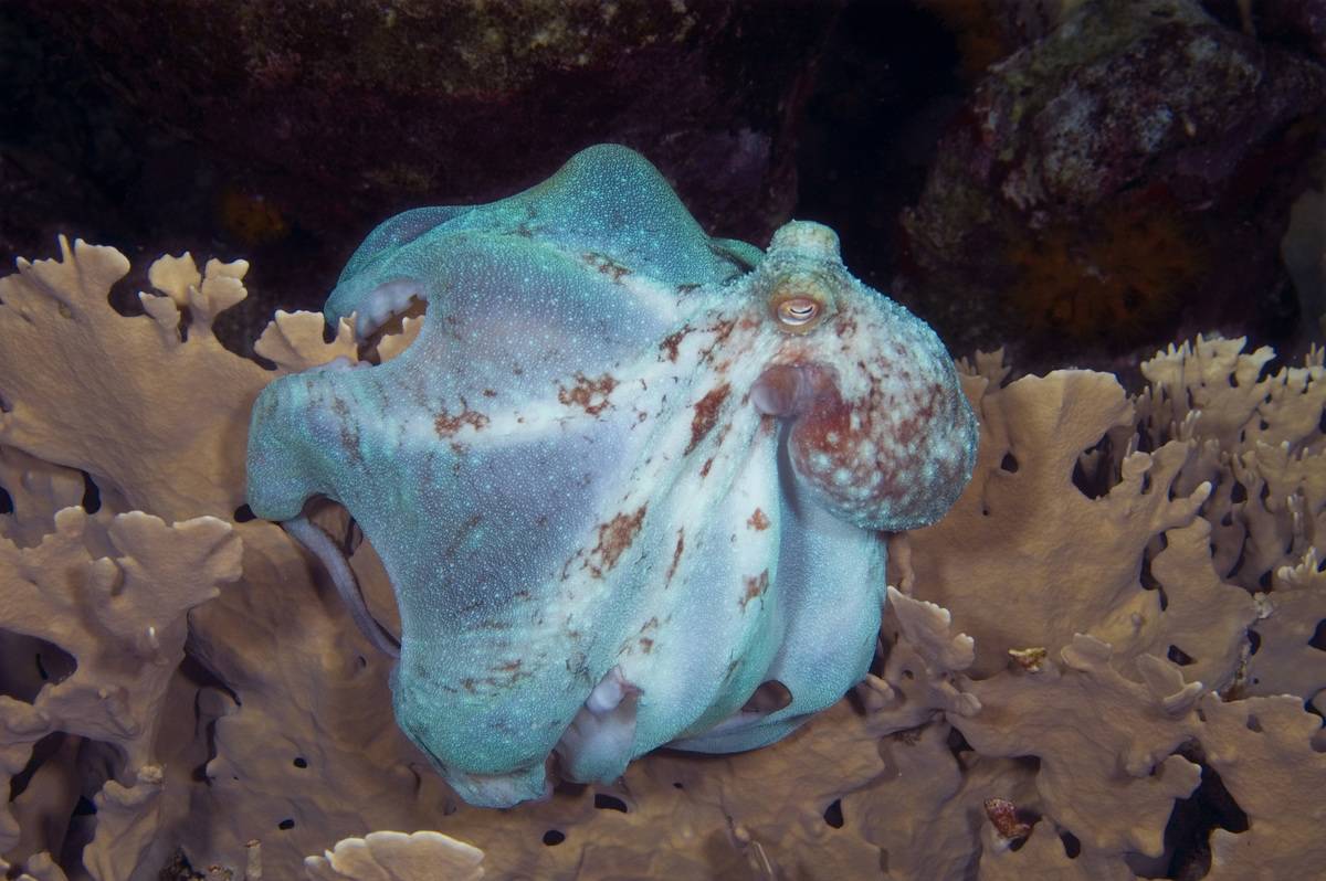 GettyImages-146141423