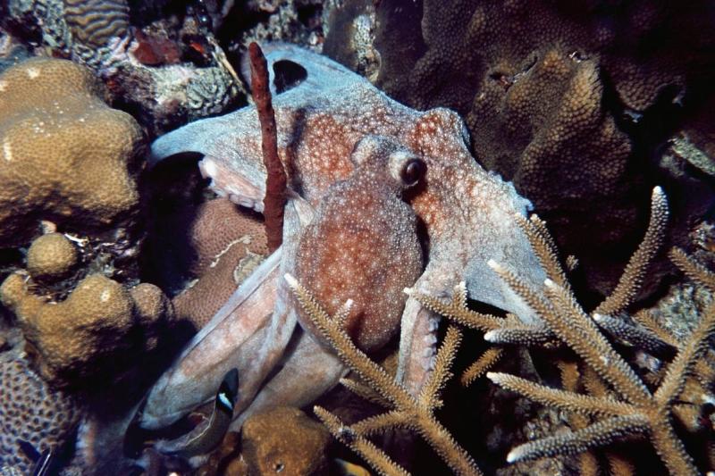 GettyImages-154726134