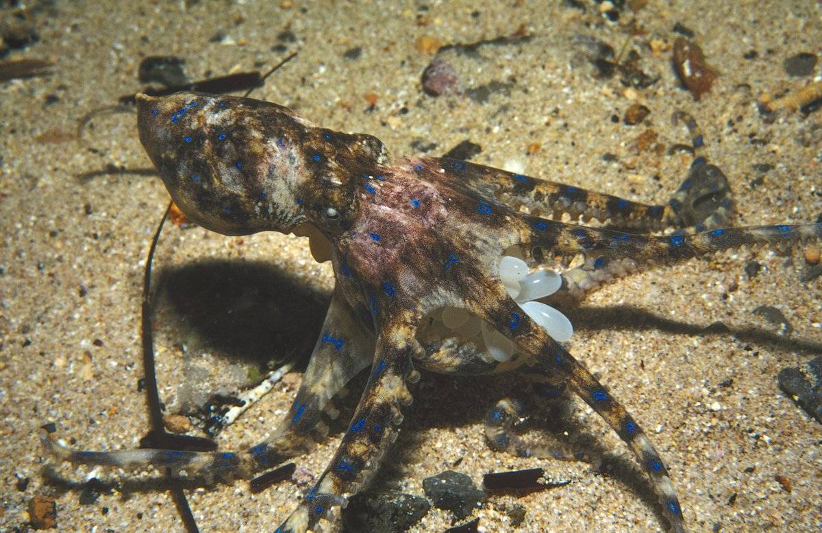 GettyImages-179793912