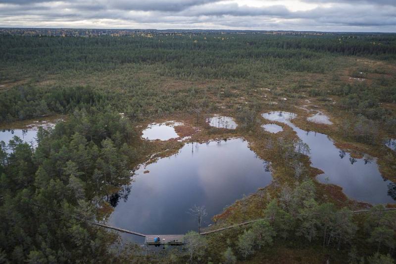 GettyImages-895131734