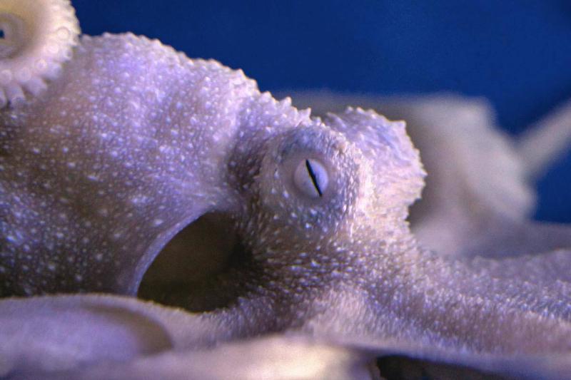 dustin-humes--LJkXnBn-BM-unsplash