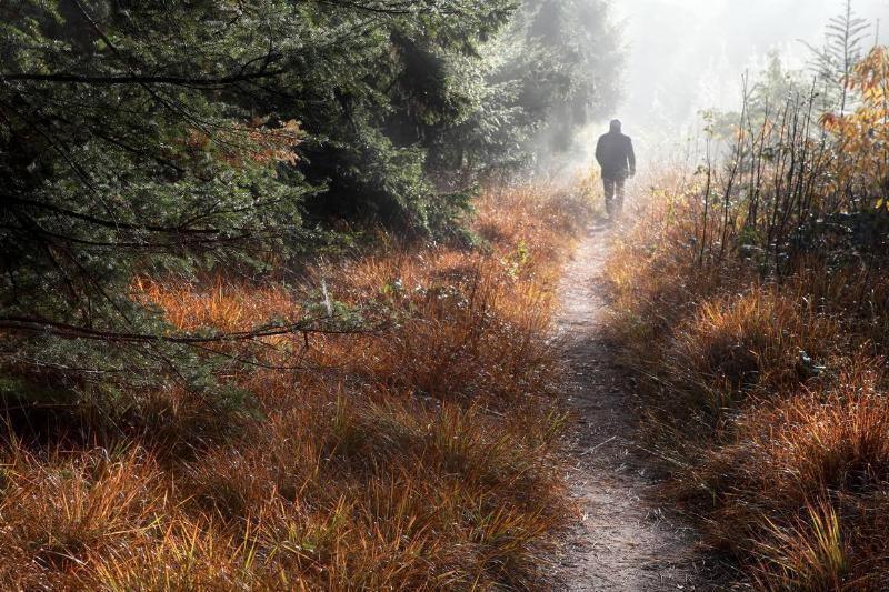 man-walks-on-forest-path-in-fog-2022-02-02-05-05-35-utc