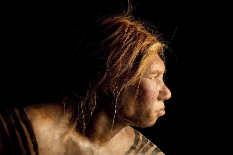 Neanderthal Female