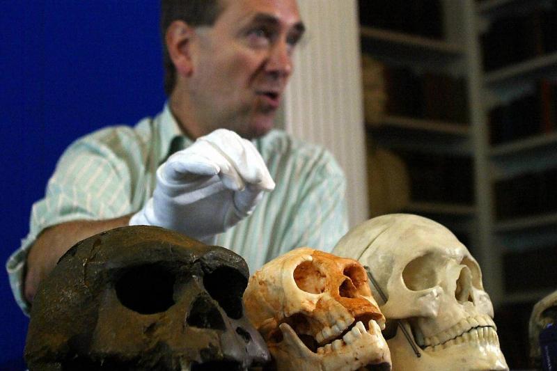 Professor Chris Stringer of the Natural