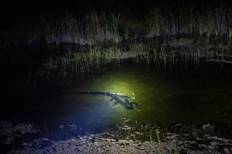 GettyImages-1242565547