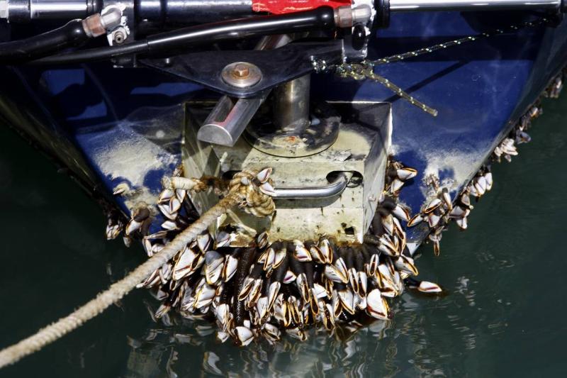 GettyImages-1408462146