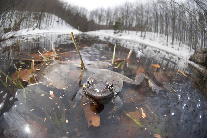 GettyImages-973779528