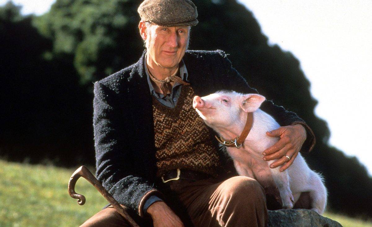 James Cromwell cuddling pig as Farmer Arthur Hoggett in Babe