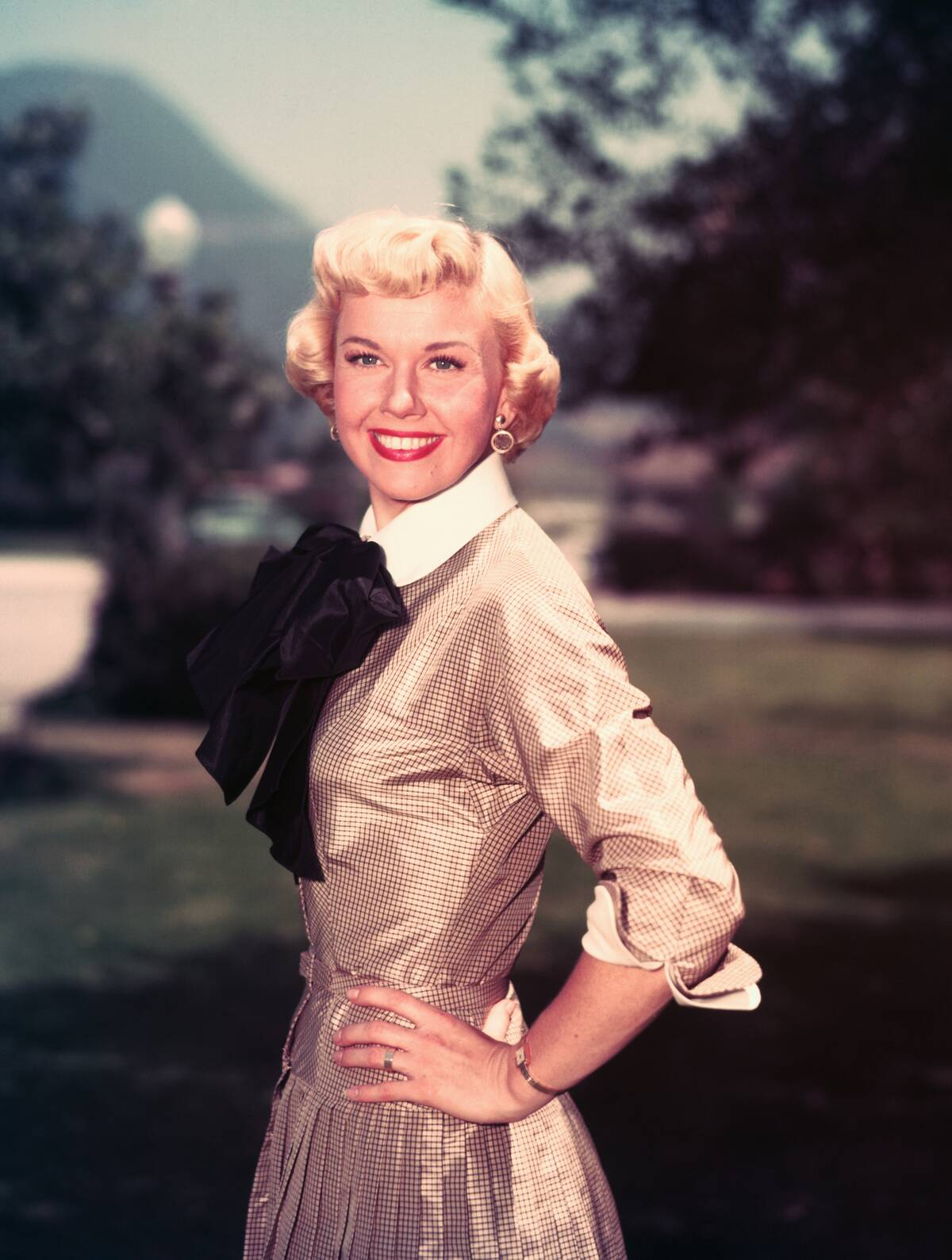 Portrait of Doris Day