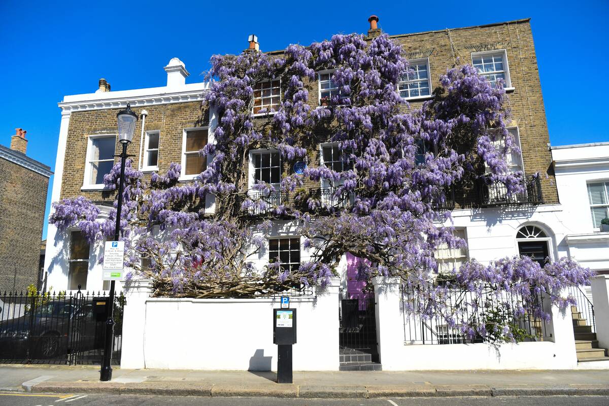 Spring weather Apr 19th 2020