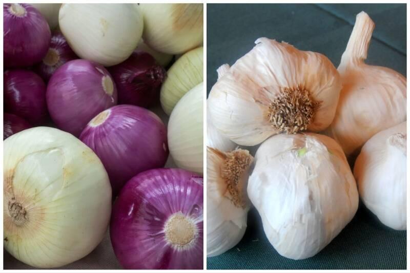 Collage Maker-01-May-2023-12-39-PM-5382