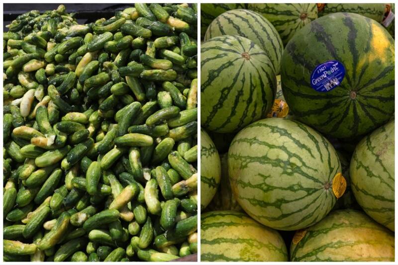 Cucumbers and Melons