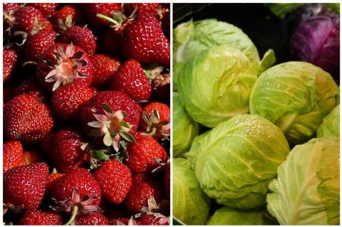 Strawberries and Cabbages