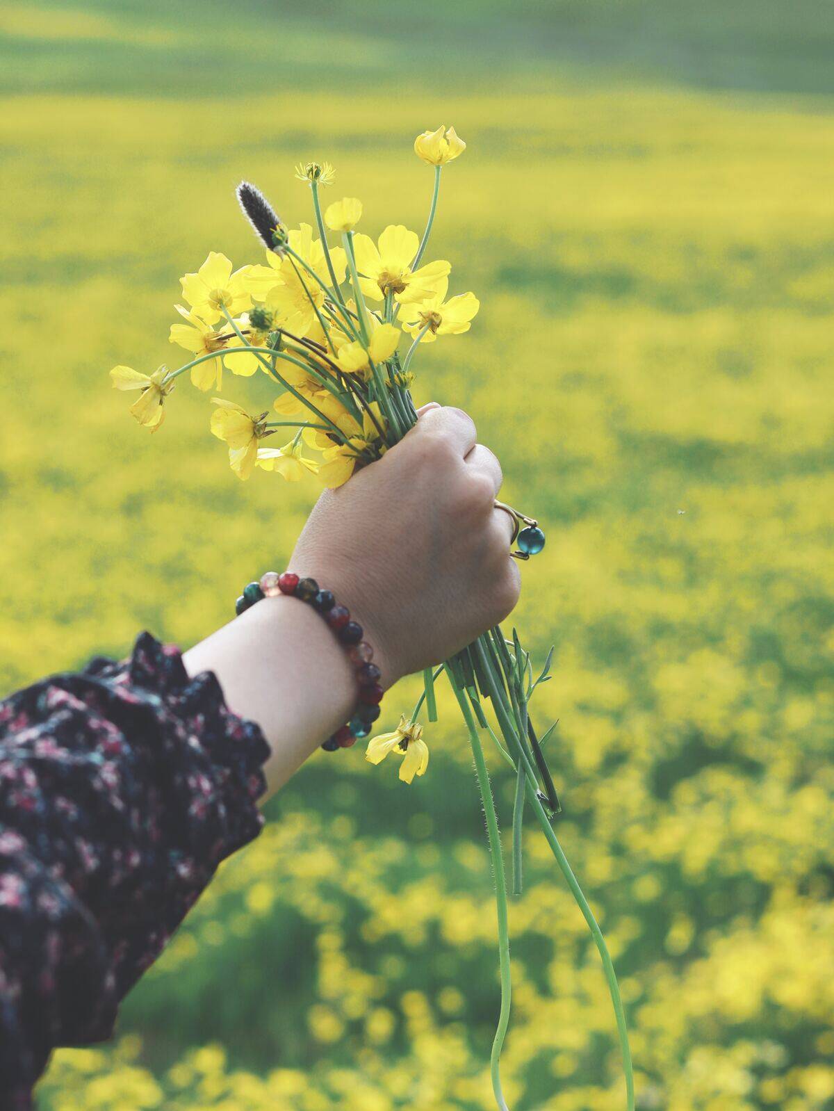 habib-dadkhah-y73H92G8QTA-unsplash