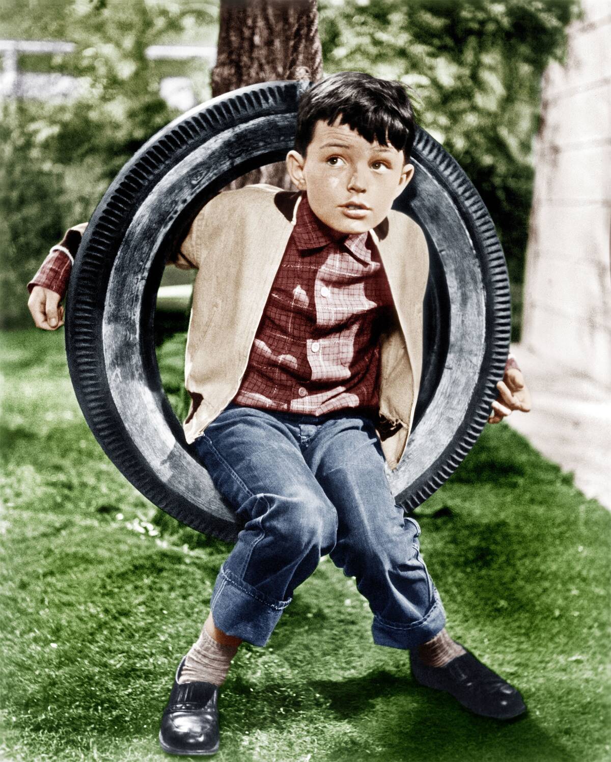 boy sitting in a tire swing