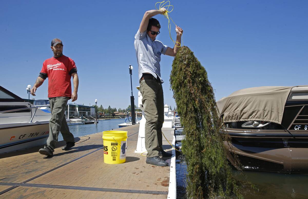 GettyImages-1268529837