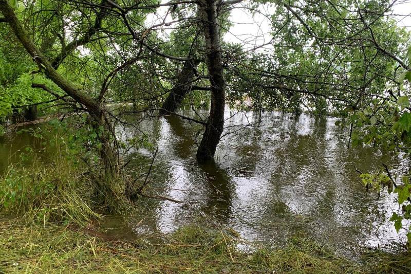 Flood hits villages in Ukraine's Kherson