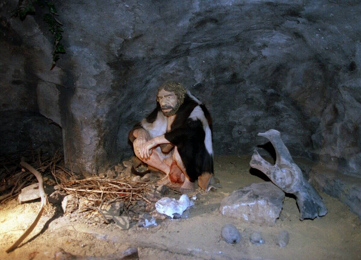 Neandertal-Museum in Mettmann