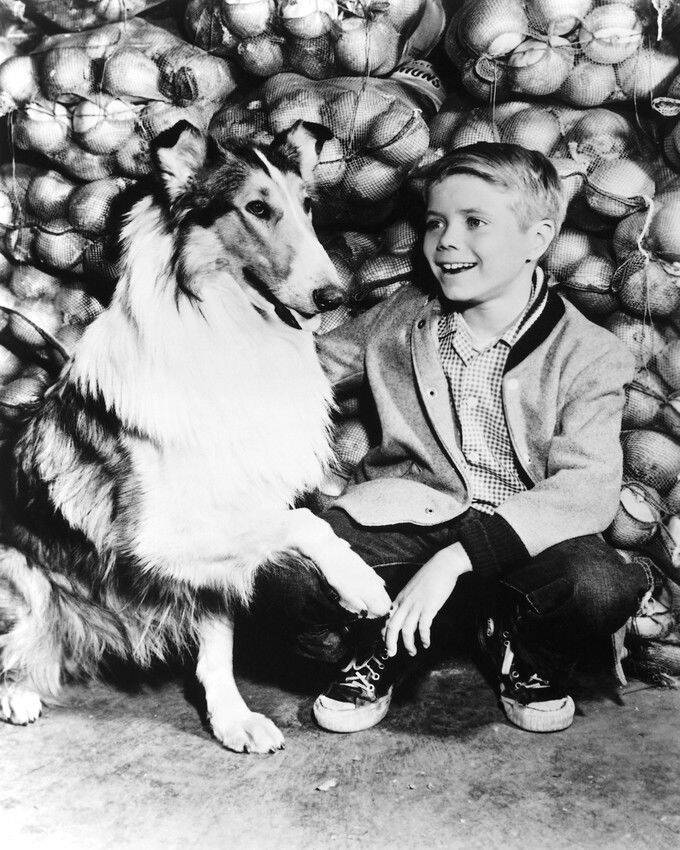 Jon Provost