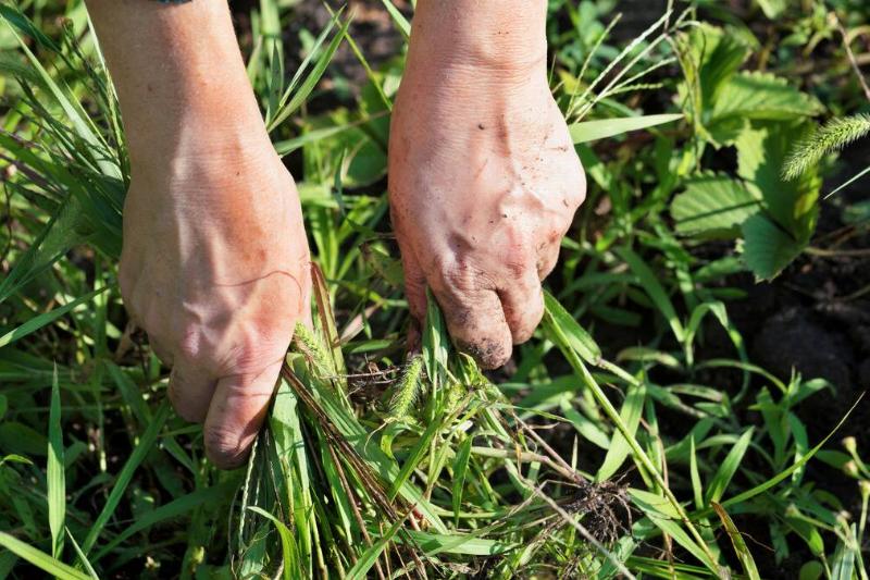 MSN Syn (1920 × 1080 px) (10)