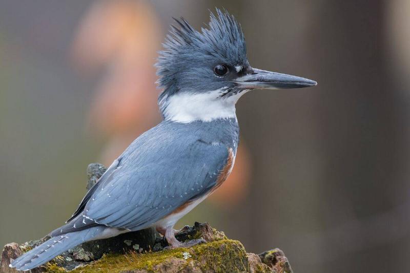 getty-images-Yb54keDT4NQ-unsplash