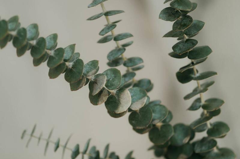 mathilde-langevin-qTIMfMtfEpg-unsplash