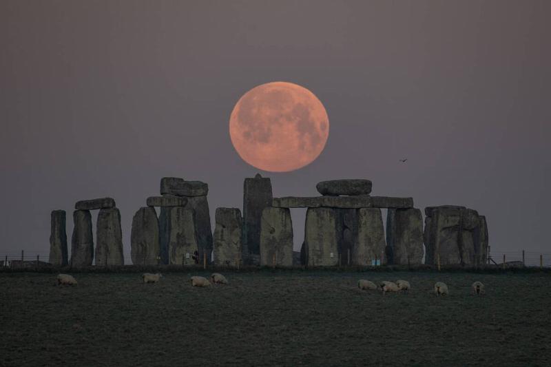Pink Supermoon Lights Up April Skies In The UK