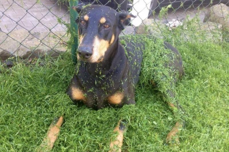 Screen Shot 2023-11-21 at 10.50.57 AM